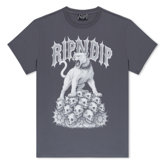 RIPNDIP Wasteland Tee (Charcoal)