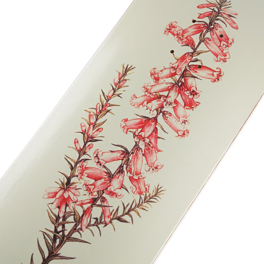 Pass~Port Pro Reissues Pink Heath - Callum Paul 8.5"