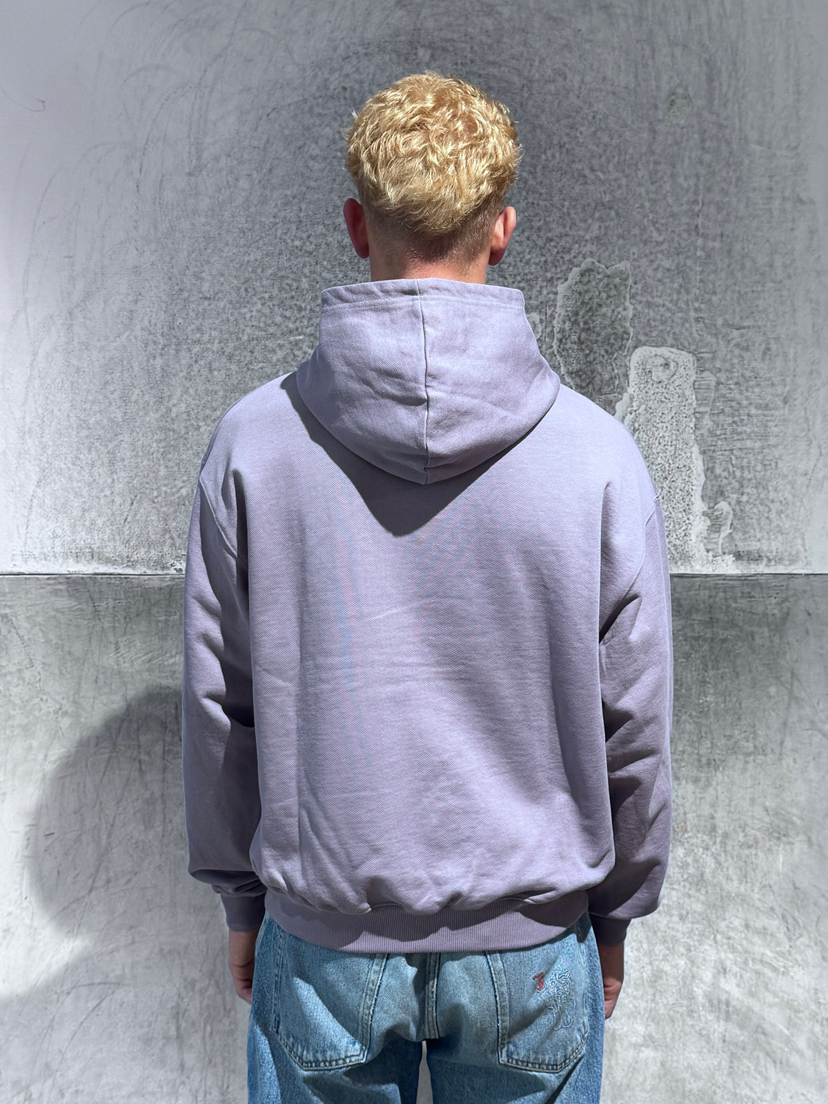 Mantis Sphinx Hoodie Purple