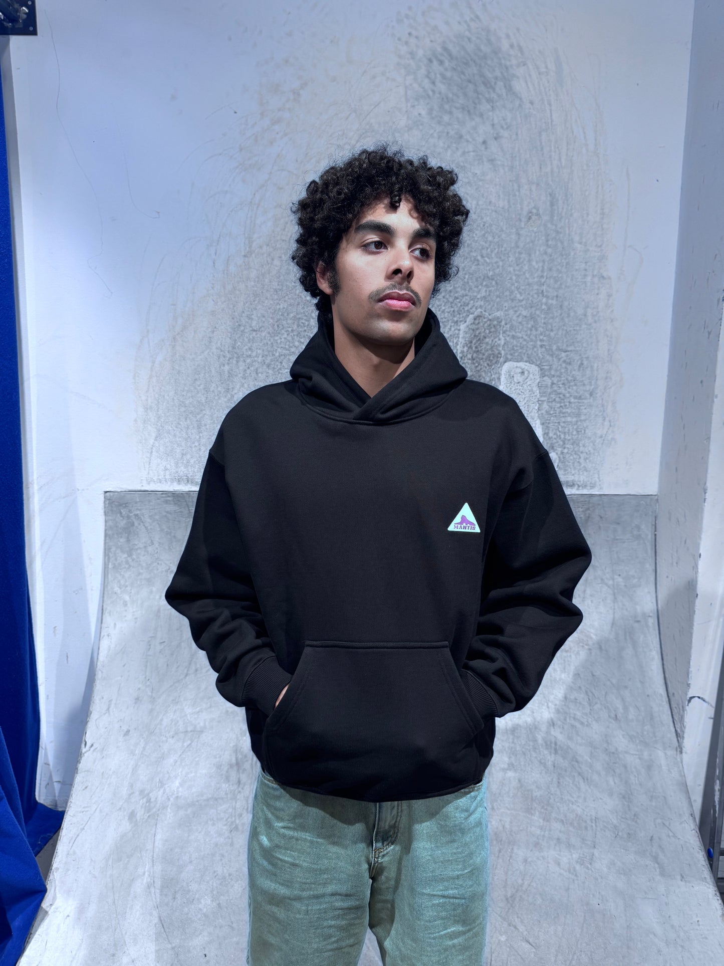 Mantis Sphinx Hooded Sweatshirt Black
