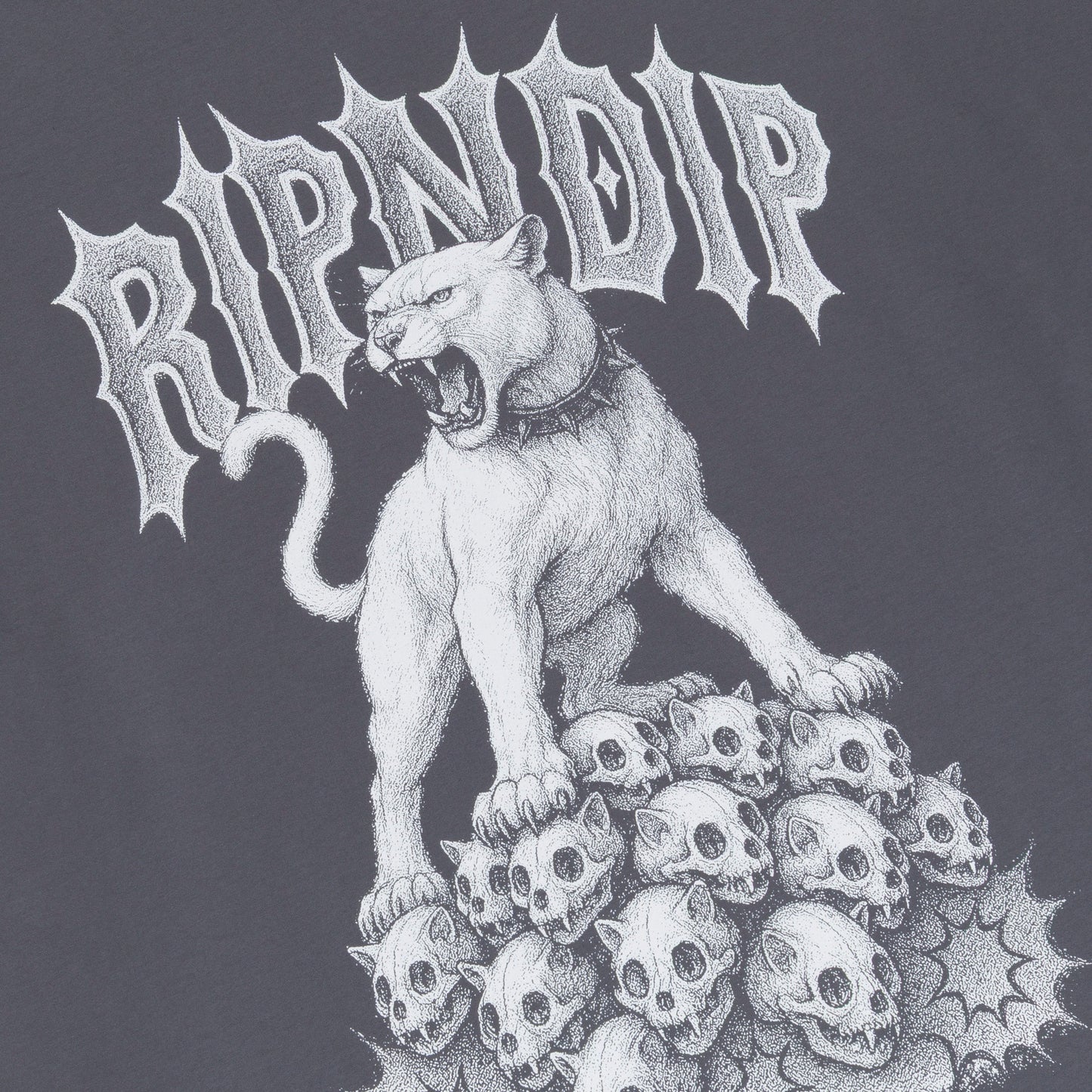RIPNDIP Wasteland Tee (Charcoal)
