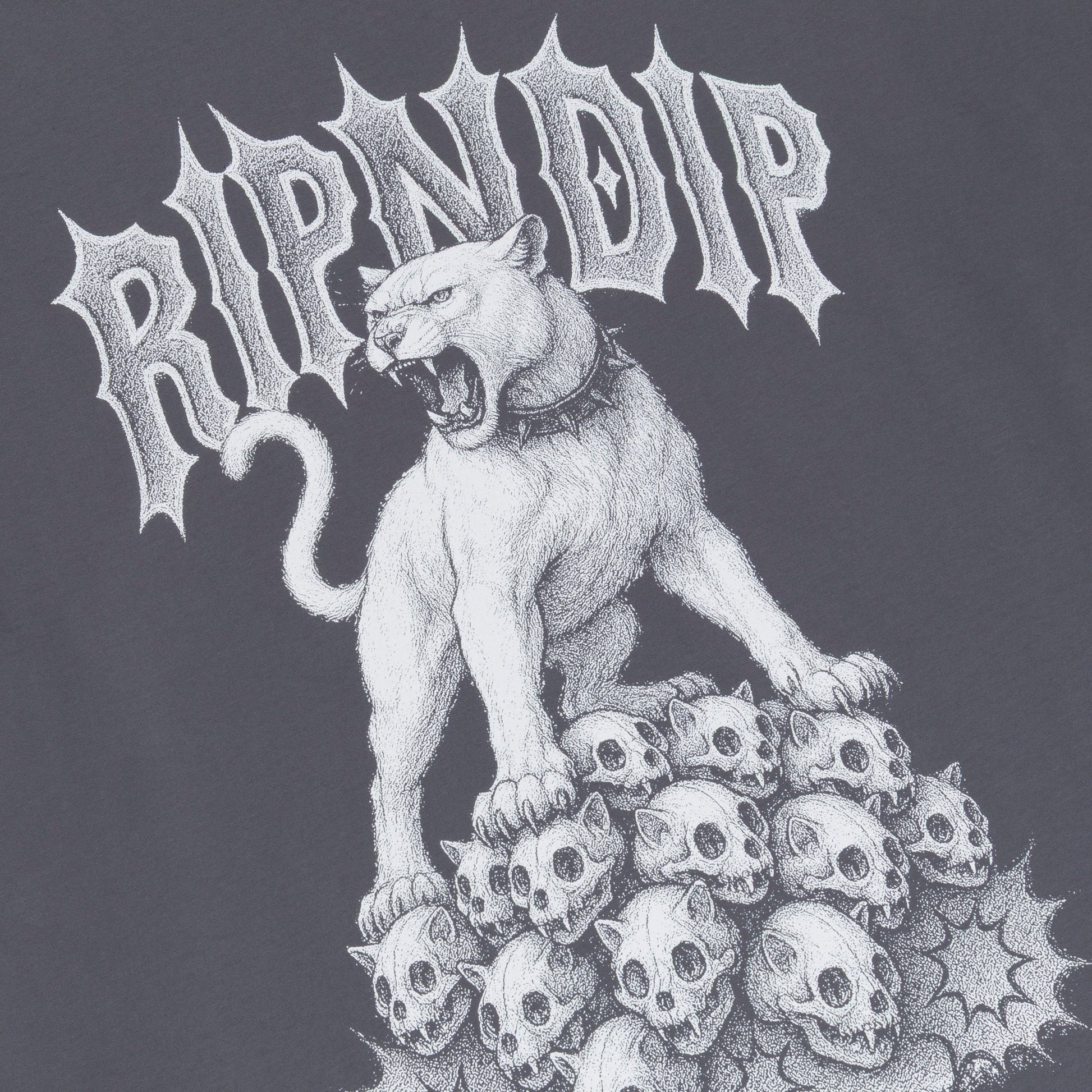 RIPNDIP Wasteland Tee (Charcoal)