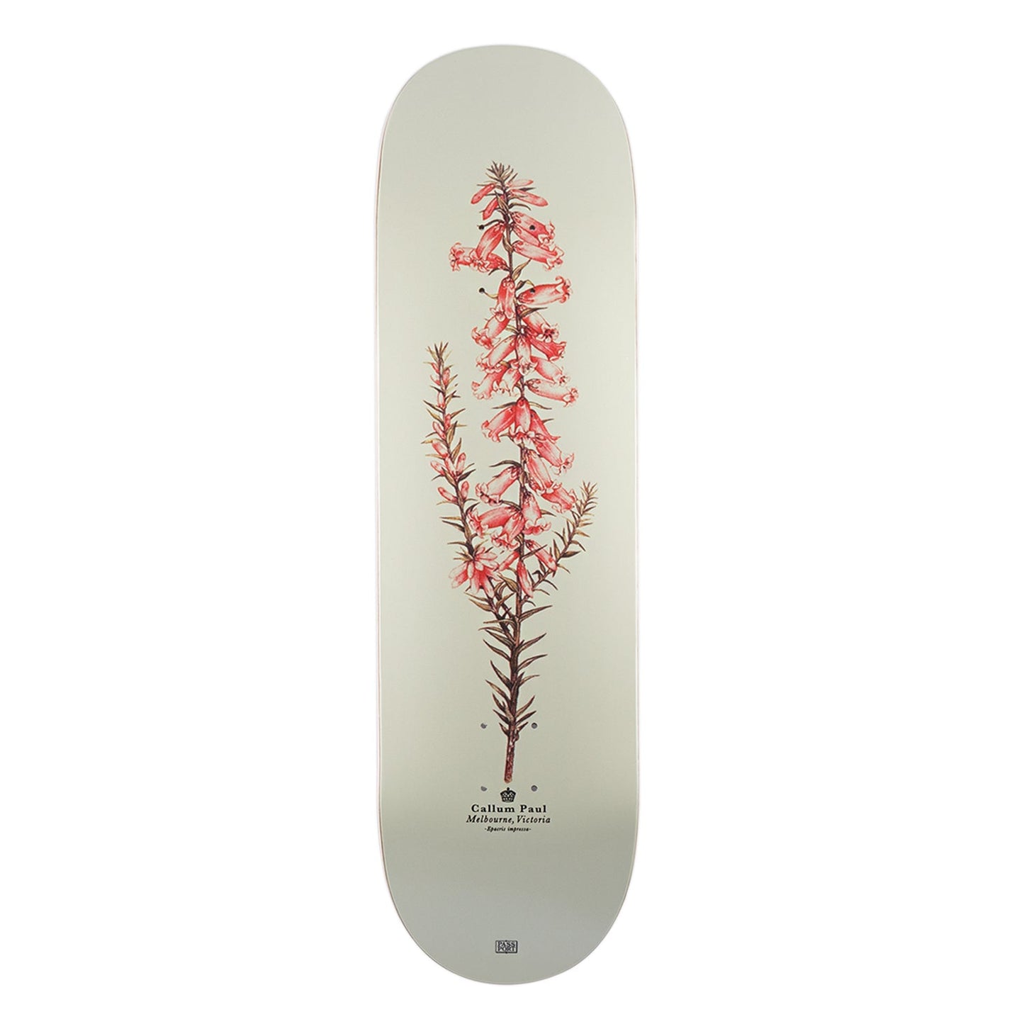 Pass~Port Pro Reissues Pink Heath - Callum Paul 8.5"
