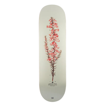Pass~Port Pro Reissues Pink Heath - Callum Paul 8.5"