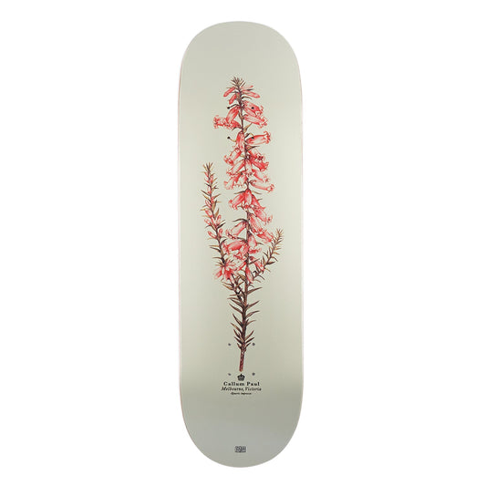 Pass~Port Pro Reissues Pink Heath - Callum Paul 8.5"