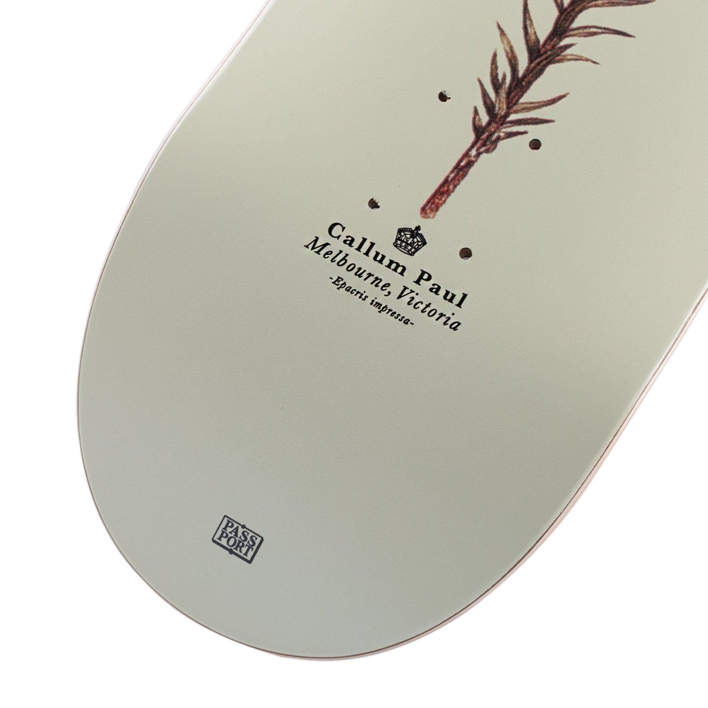Pass~Port Pro Reissues Pink Heath - Callum Paul 8.5"