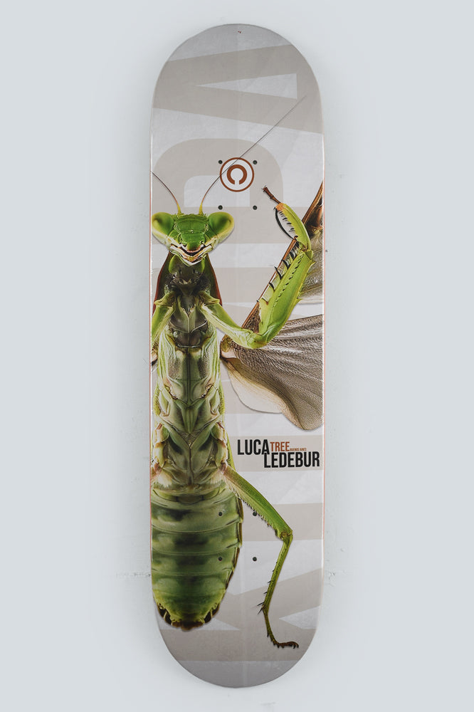 Tree Skateboards Luca Ledebur Pro Board