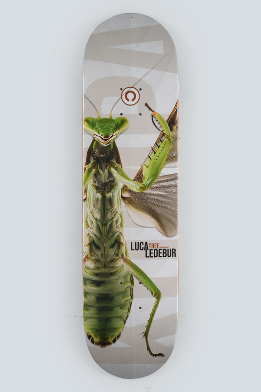 Tree Skateboards Luca Ledebur Pro Board