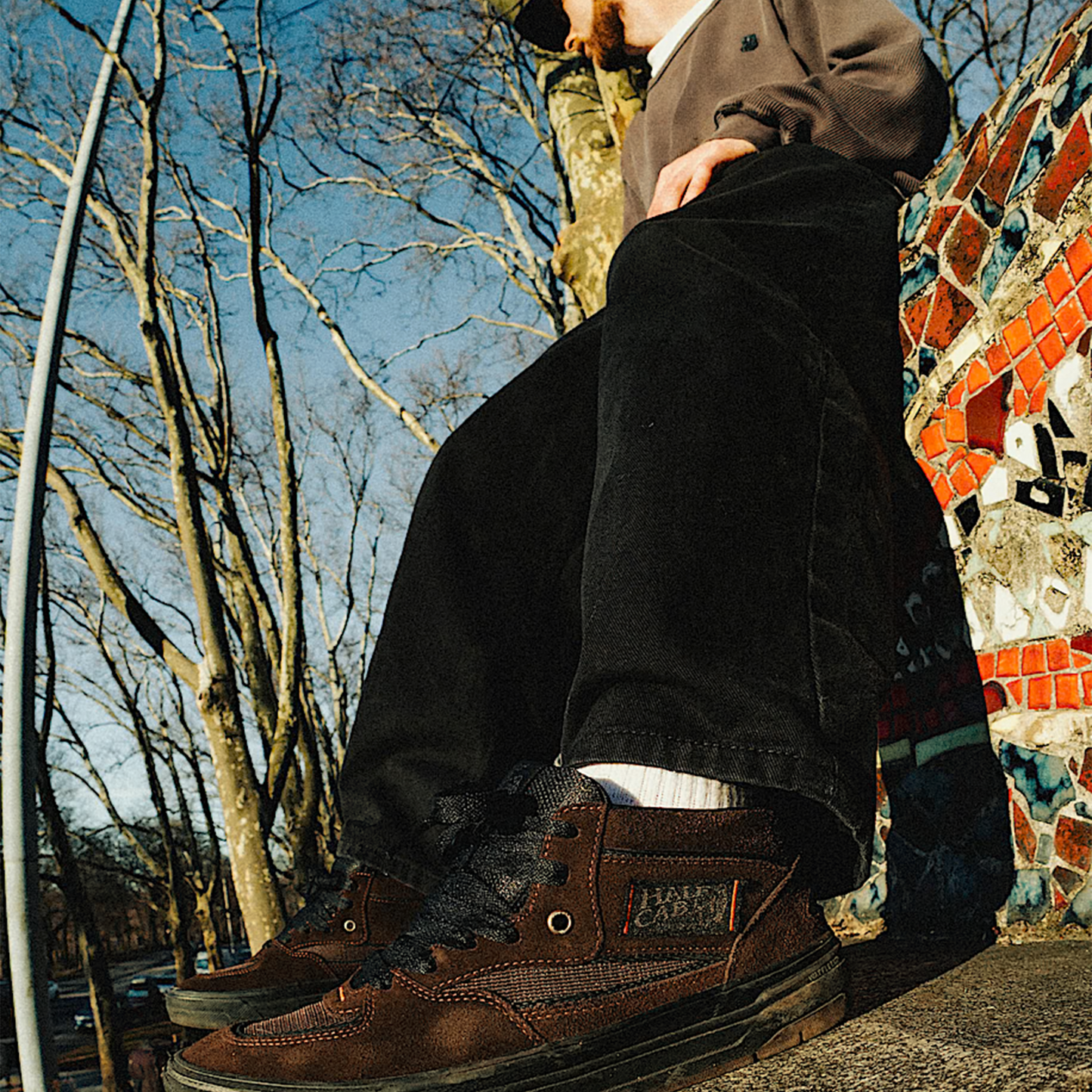 Vans Skate Half Cab Wafflecup Dick Rizzo Brown/Black